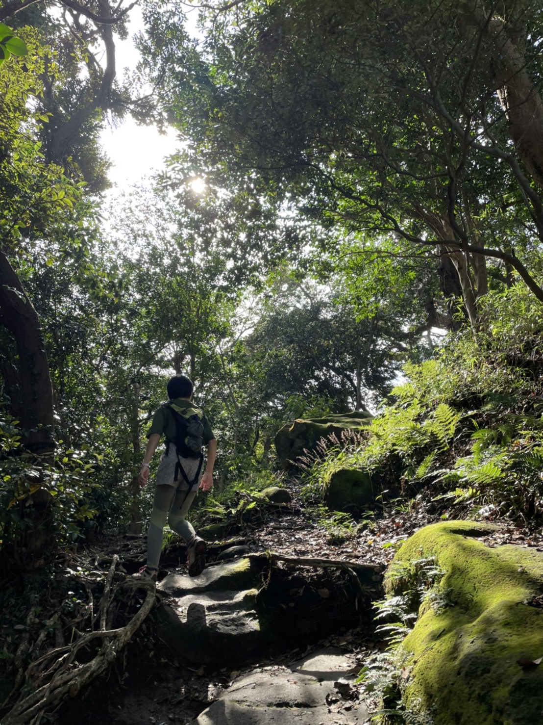 ゆっこんこん山歩き写真